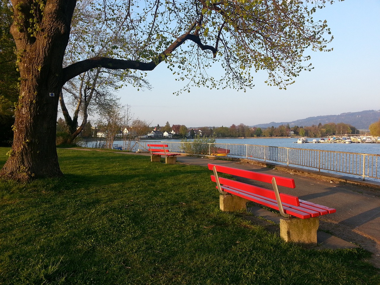 必然过程 必然过程