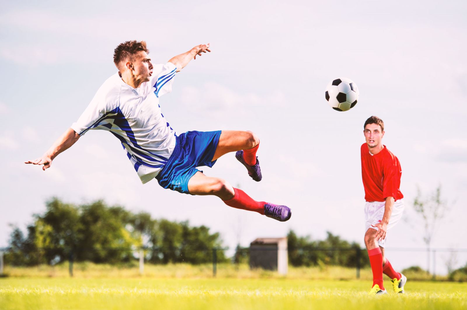 形成了一道 形成了一道