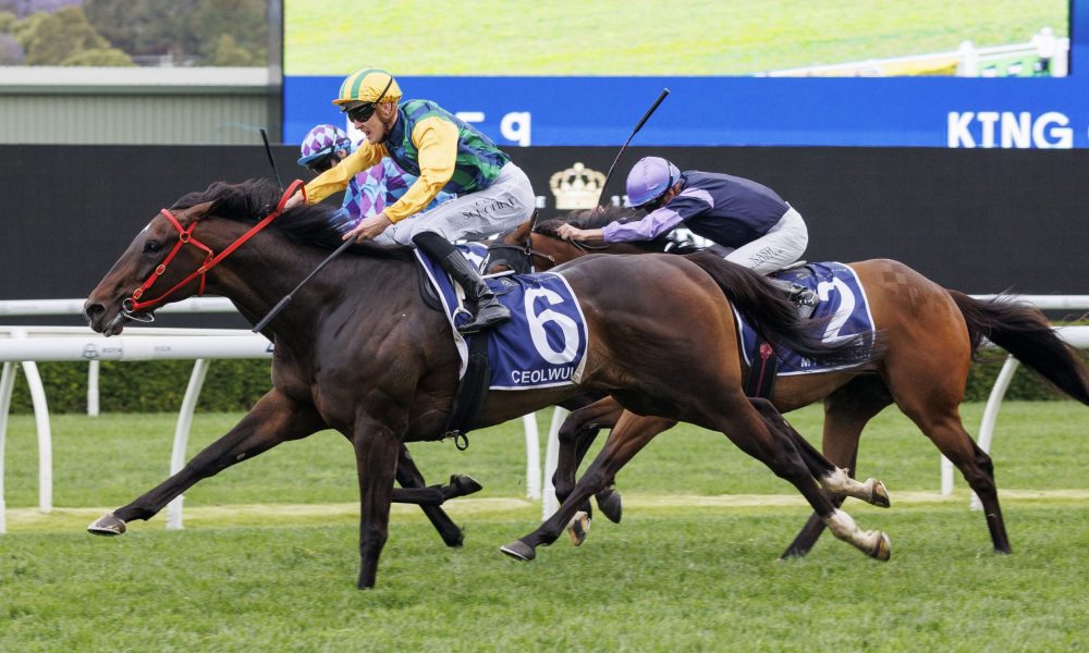 益精进的体 益精进的体